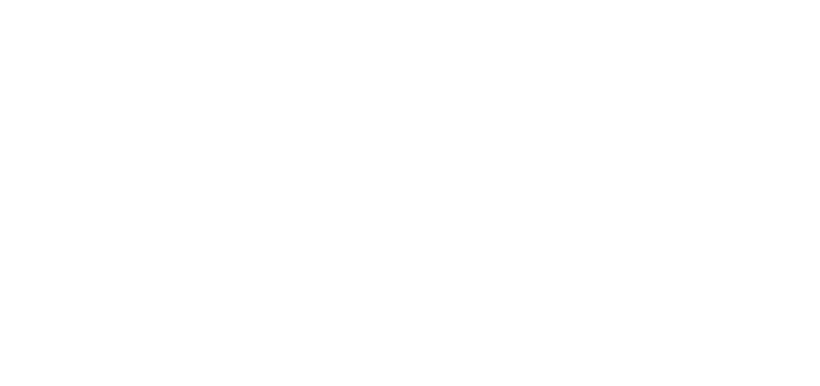 BIAN Nexus Platform